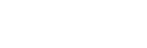 bizup-logo-text.white.005x