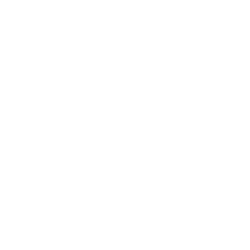 bizup-logo-only.white.2